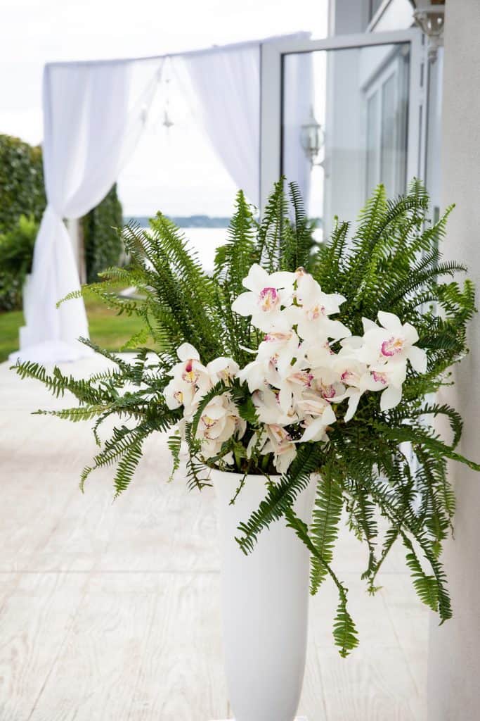 Floral Arrangement