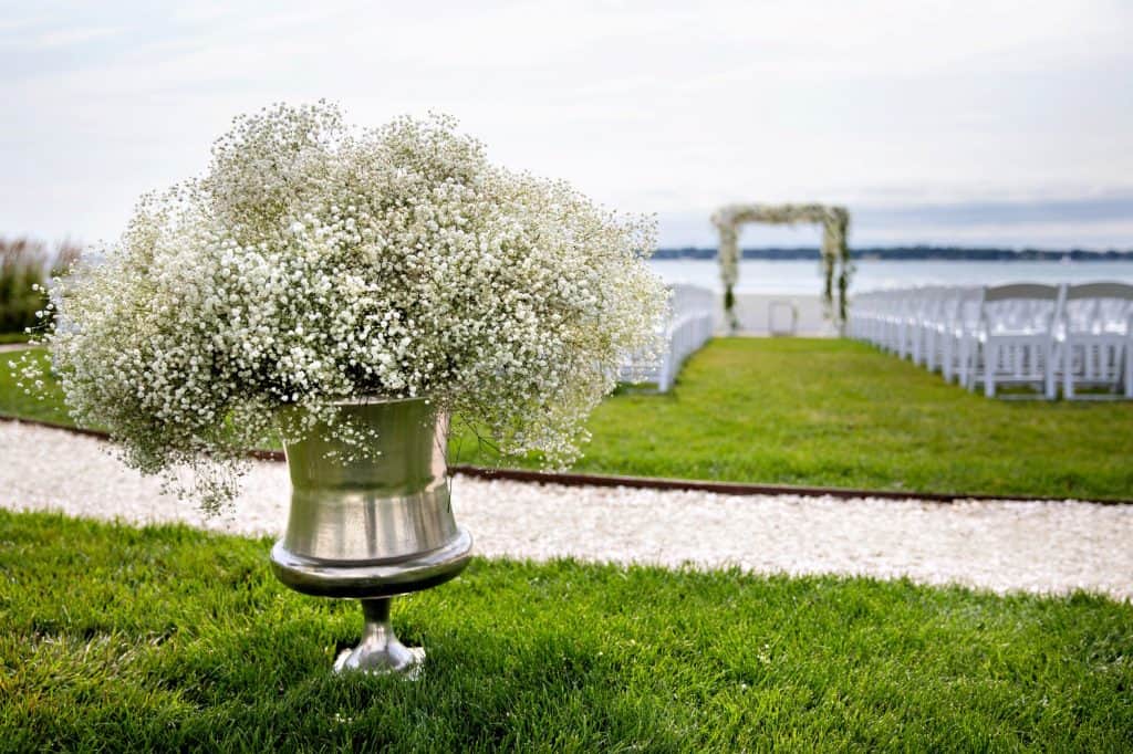 White Baby Breath in Bowl