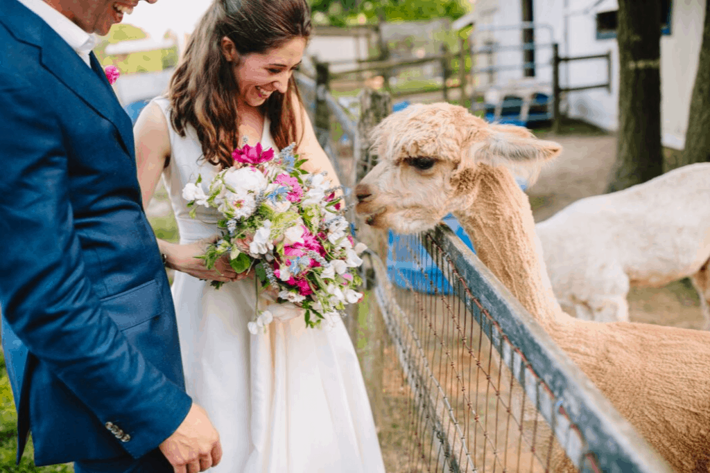 Molly and Zack Farm Wedding