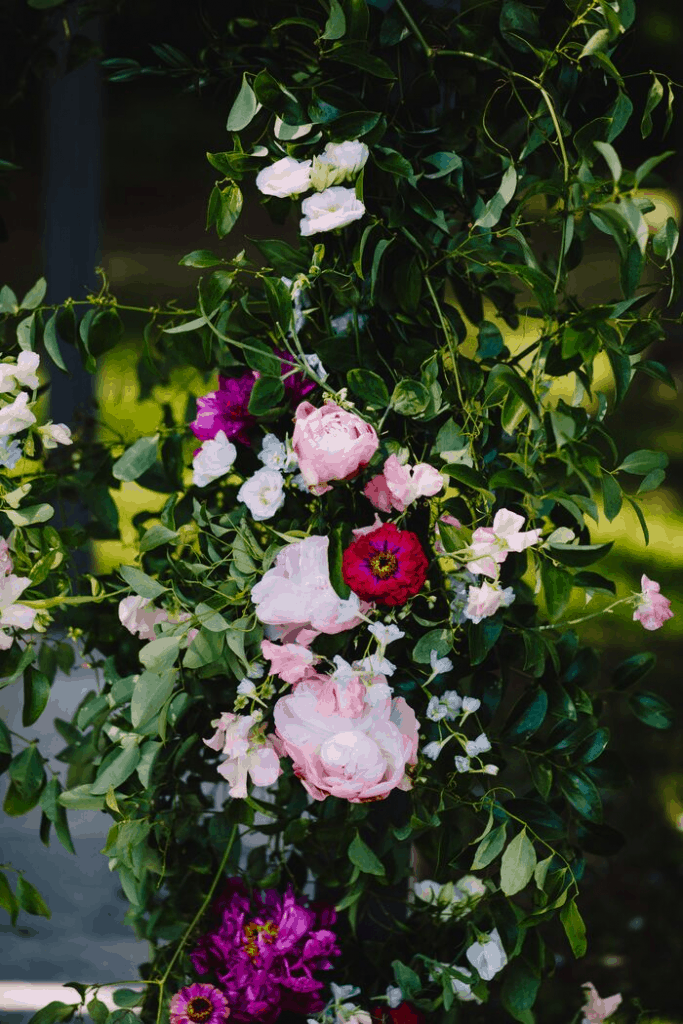 Molly and Zack Floral Arrangements